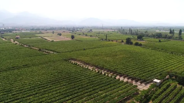 Manisa 2018 Yılında 500 Bin Tondan Fazla Tarım Ürünü İhraç Etti