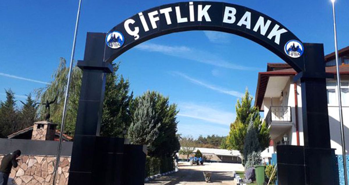 Çiftlik Bank'ın Sosyal Medya Sorumlusu, Saklandığı Evde Yakalandı