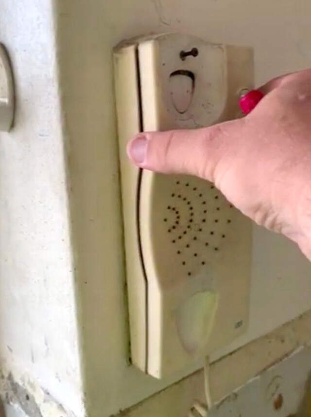 Duvara Asılı Sabit Telefonun İçinden Binlerce Hamam Böceği Çıktı