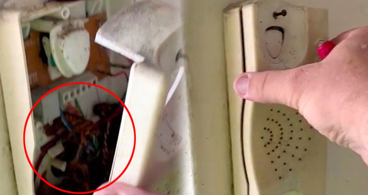 Duvara Asılı Sabit Telefonun İçinden Onlarca Hamam Böceği Çıktı
