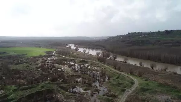 Hevsel Bahçeleri'ndeki Hayvan Türlerine Sel Darbesi