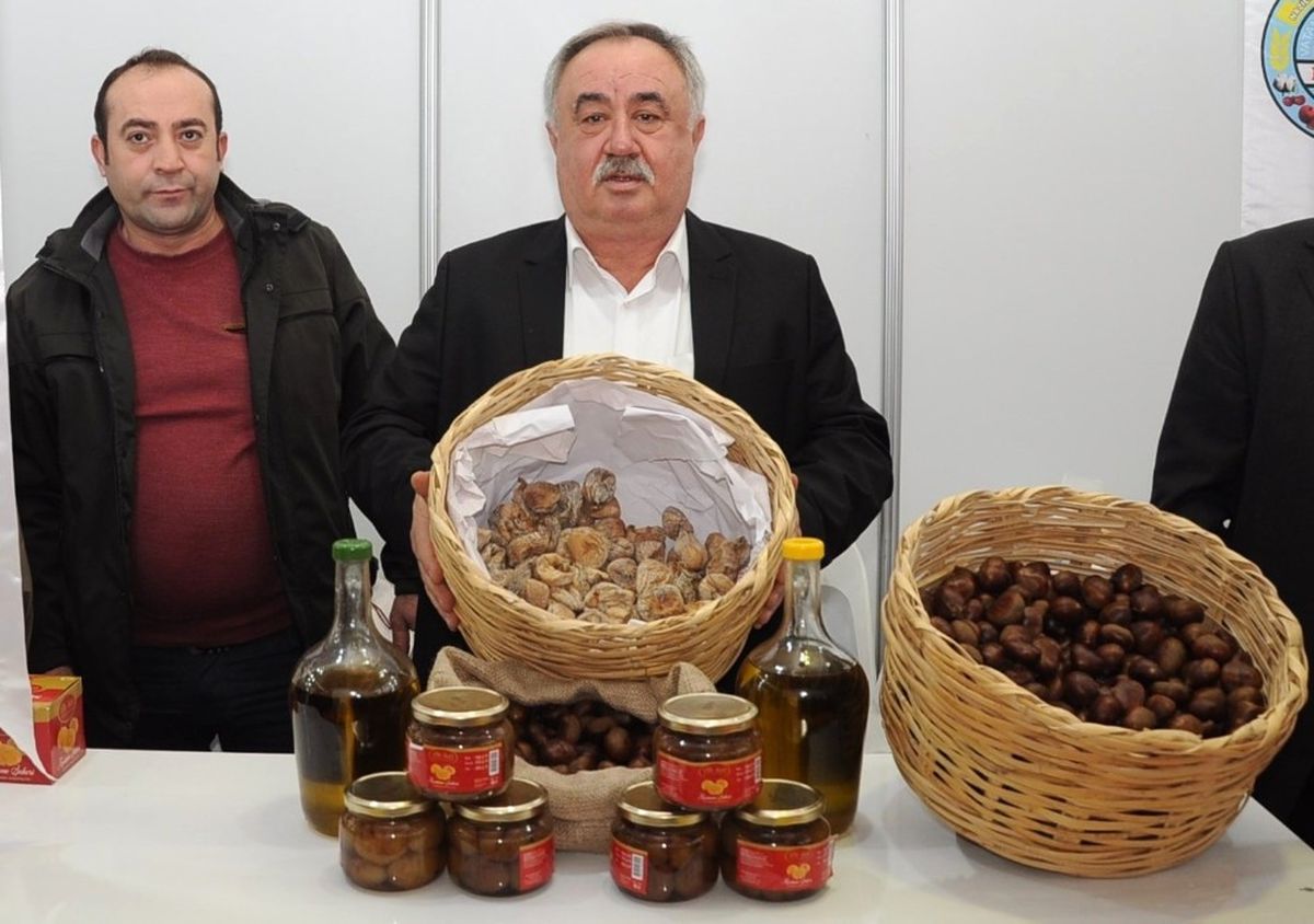 Aydın'ın En Meşhur Efeleri: İncir, Kestane, Zeytin