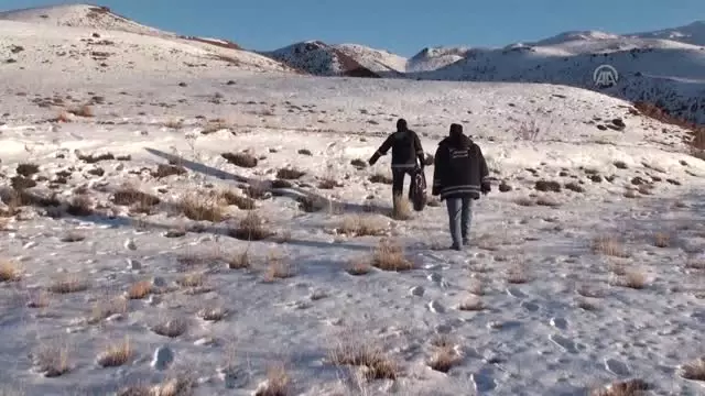 Çöpe Atılacak Yiyecekler Yaban Hayatı İçin Doğaya Bırakılıyor