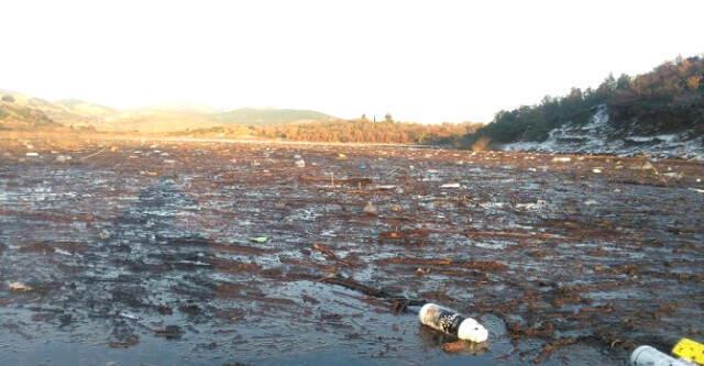Bayramiç Barajı'nda Zirai İlaç Atığı Sorunu Sürüyor
