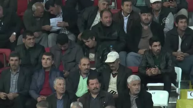 Elvan: