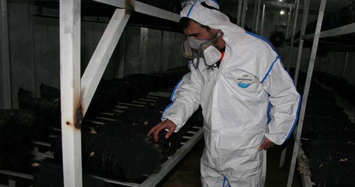Hibe Alarak Üretmeye Başladığı İstiridye Mantarları Sayesinde Çok Para Kazanmaya Başladı