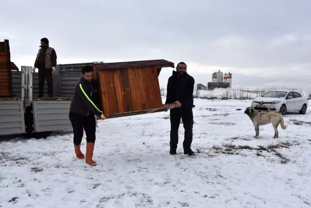 Konya'da Sokak Köpeklerine Sıcak Yuva