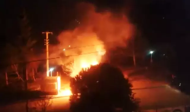 Kopan Elektrik Kablosu Ağacı Yaktı
