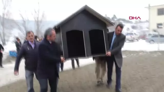 Kastamonu Tosya'da Sokak Hayvanları İçin Kulübe Kastamonu Tosya'da Sokak Hayvanları İçin Kulübe