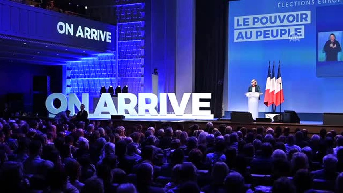 Ulusal Cephe Partisi'nin Lideri Marine Le Pen