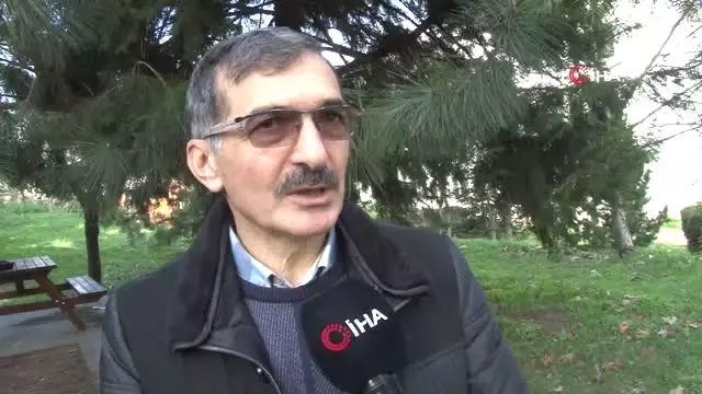 Doğu Karadeniz Yabancı İstilacı Böcek Türlerinin Tehdidi Altında Doğu Karadeniz Yabancı İstilacı Böcek Türlerinin Tehdidi Altında