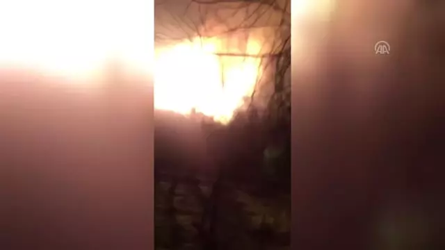 Sakarya'daki Yangın Söndürüldü