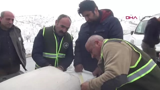 Şırnak'ta Yaban Hayvanları İçin Doğaya Yem Bırakıldı