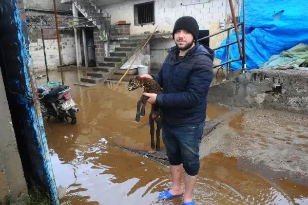 Adana�da Evleri Su Bastı, Araçlar Yolda Kaldı (5) Haberler