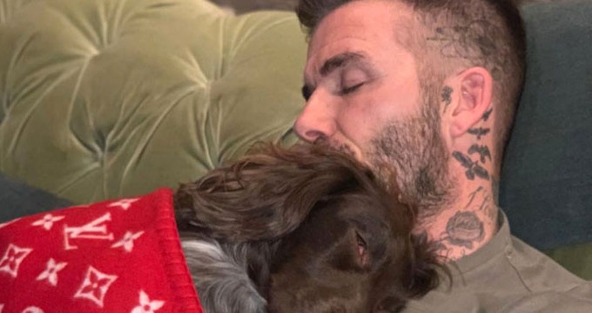 Beckham'ın Köpeğine Örttüğü Battaniye Fiyatıyla Pes Dedirtti