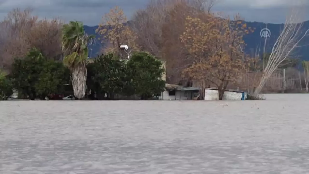 Su Altında Kalan Evini İneğinden Dolayı Terk Etmek İstemedi