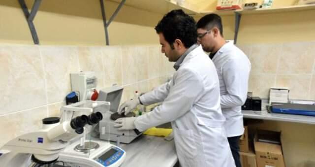 Kangalların Yavrularını Neden Yediği Ortaya Çıktı