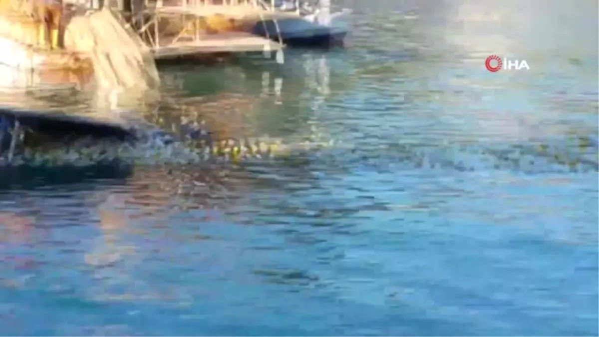 Mersin'de Şiddetli Fırtınadan Tekne Battı