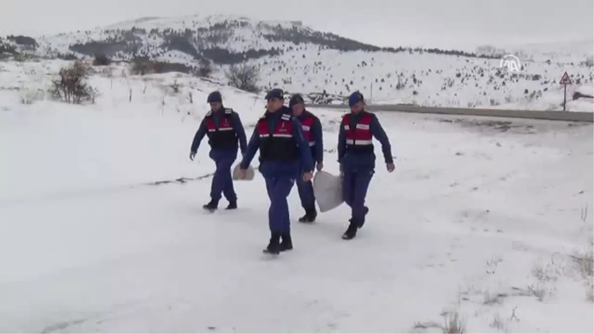 Jandarmadan Yaban Hayvanlarına Yiyecek