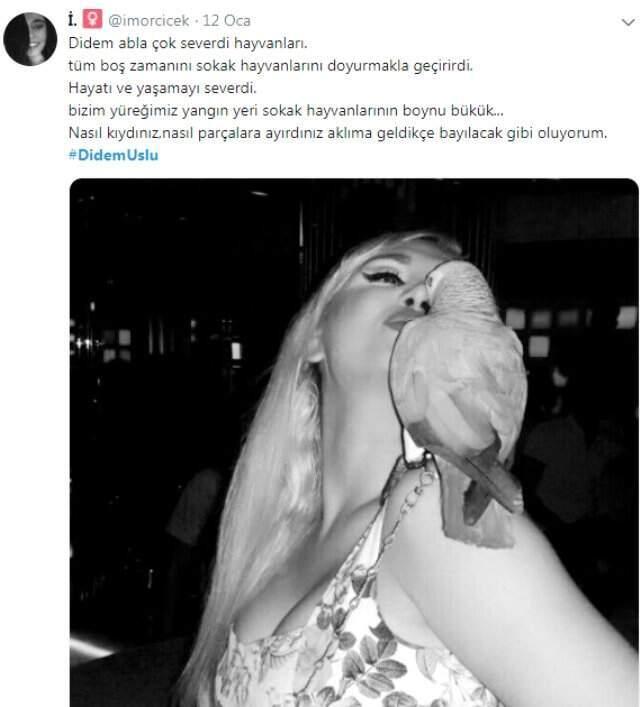 Vahşi Cinayete Kurban Giden Oryantalin Sosyal Medyadaki 'Kaç Parçaya Bölüneyim' Paylaşımı Dikkat Çekti