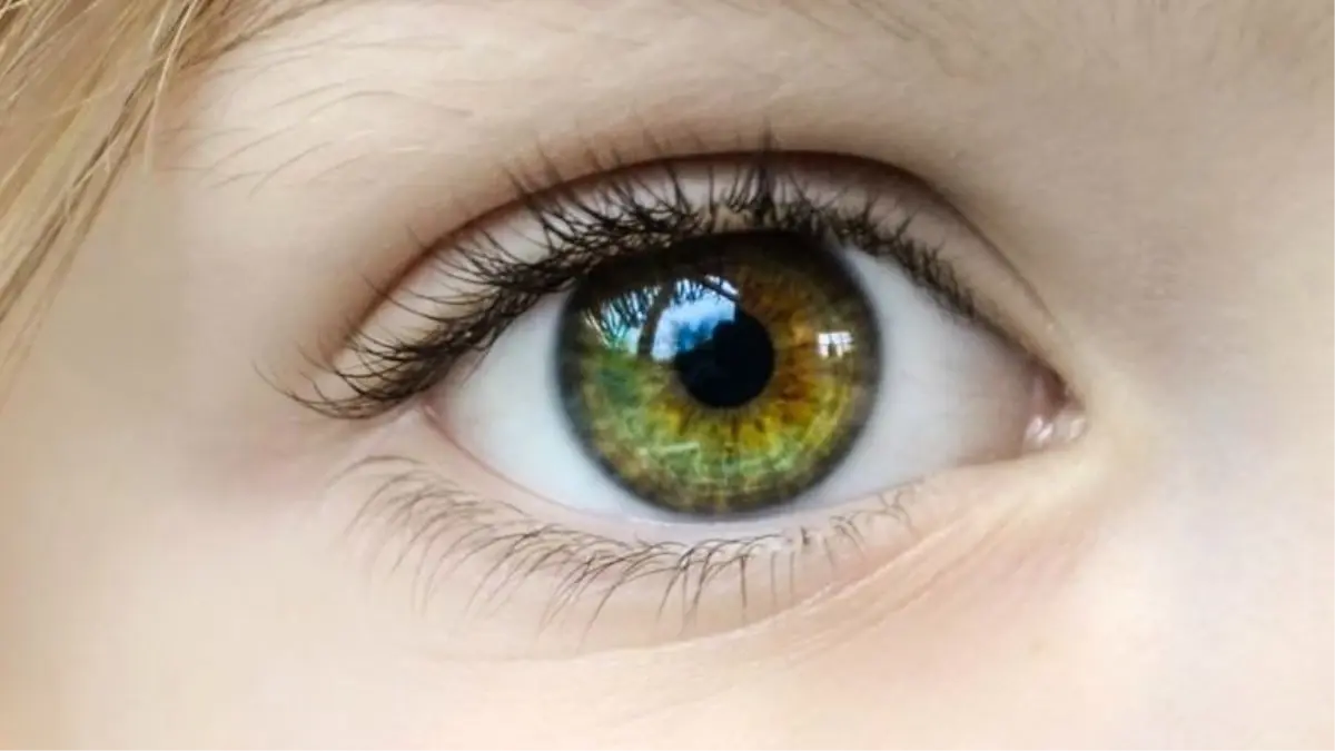 Vücudumuzun Artık İhtiyaç Duymadığımız 9 Parçası