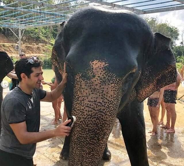 Boşanacakları Söylenen Mert-İdil Fırat Çifti, Fil Yetimhanesini Ziyaret Etti