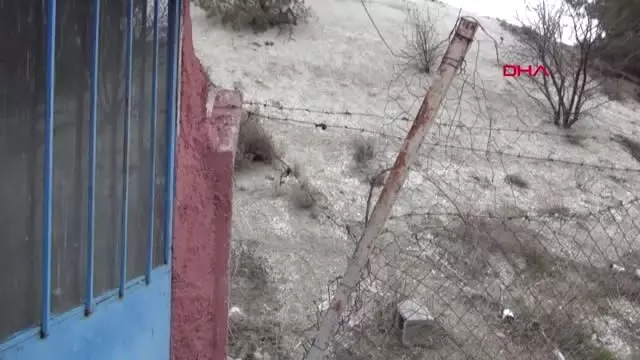 Burdur Haberleri: Barınağa konulan köpek çalındı 76
