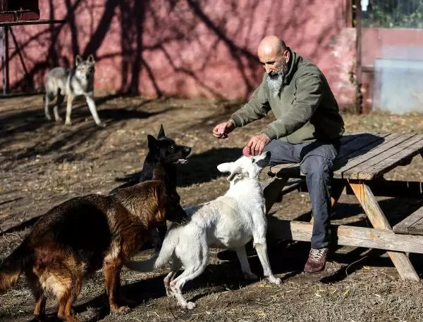 Hayvanseverlere Kopek Pansiyonu Hayvanseverlere Kopek Pansiyonu