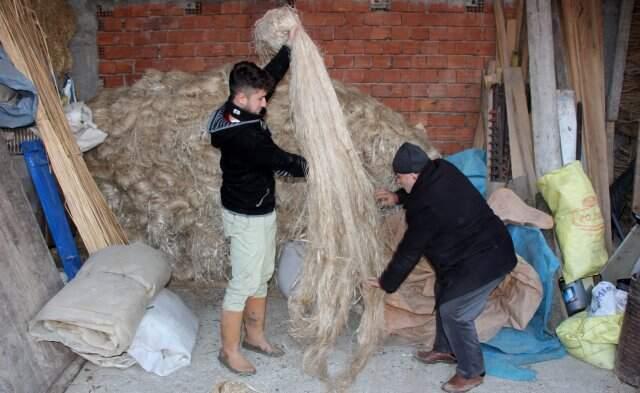 Samsun'un Vezirköprü İlçesi Türkiye'nin Kenevir Üretim Merkezi Olacak