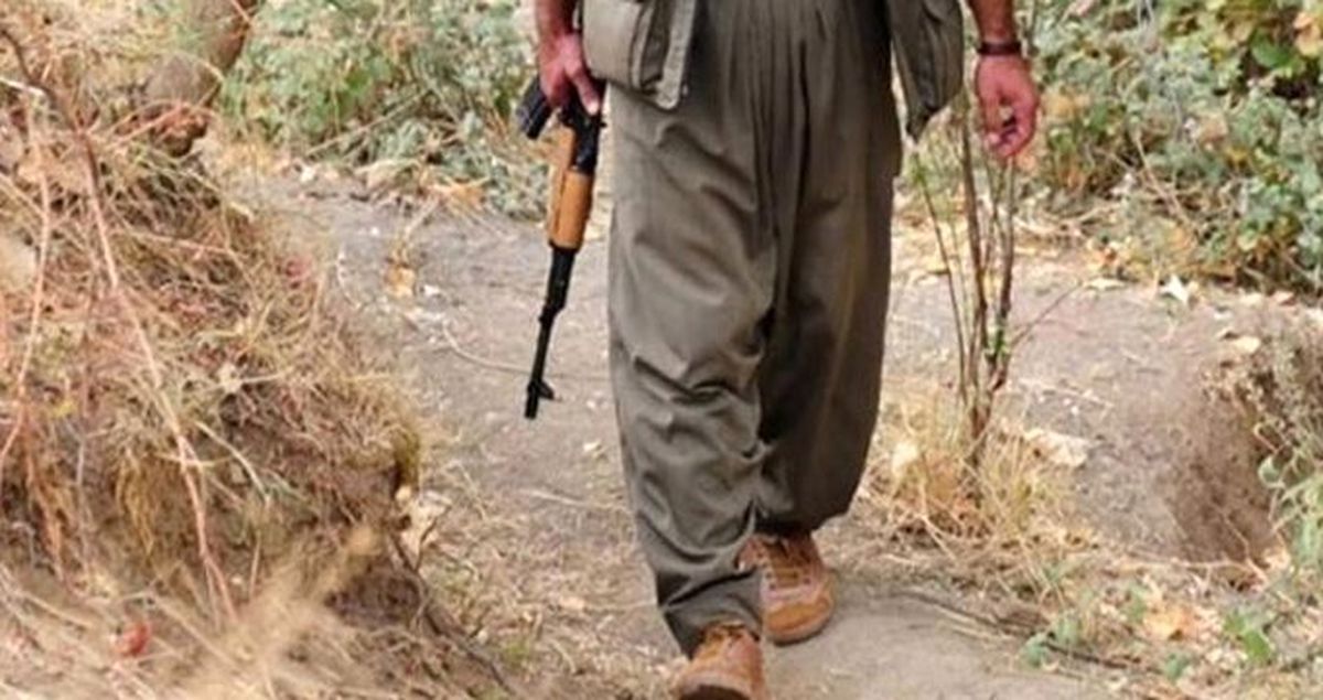 PKK'nın Arkadaşını Kurşuna Dizmesine Tanıklık Eden Terörist, Güvenlik Güçlerine Teslim Oldu