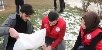 1.SINIFLAR İÇİN YARIM TAM KAVRAMINI ANLATAN SEBZE,MEYVE RESİMLERİ 1.SINIFLAR İÇİN YARIM TAM KAVRAMINI ANLATAN SEBZE,MEYVE RESİMLERİ