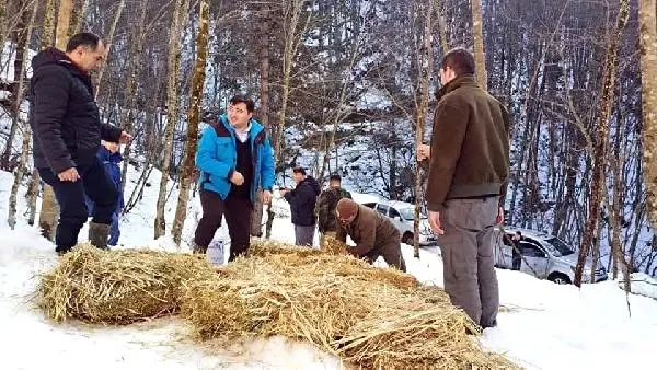 Mengen'de Yaban Hayvanları İçin Doğaya Yem Bırakıldı Mengen'de Yaban Hayvanları İçin Doğaya Yem Bırakıldı