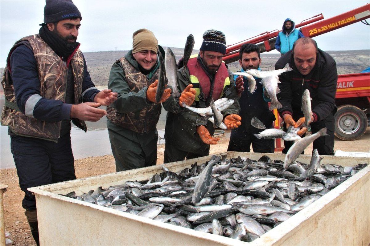 İtalya, Almanya, Hollanda ve Rusya'nın Balığı Elazığ'dan