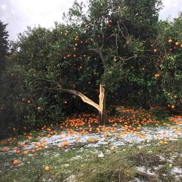 Son Dakika! Antalya'da Hortum Dehşeti! 13 Yaşındaki Bir Çocuk Hayatını Kaybetti