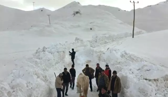 Karda Mahsur Kalan At 5 Saatlik Çalışmayla Kurtarıldı