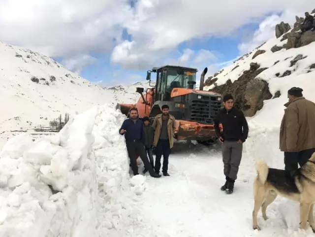 Karda Mahsur Kalan At 5 Saatlik Çalışmayla Kurtarıldı