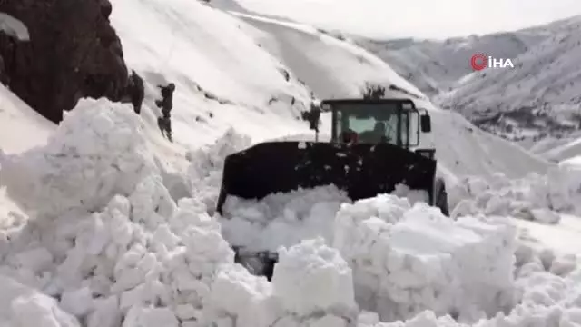 Karda Mahsur Kalan At 5 Saatlik Çalışmayla Kurtarıldı
