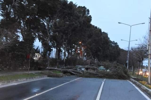 Izmir De Korkutan Deprem Haberler