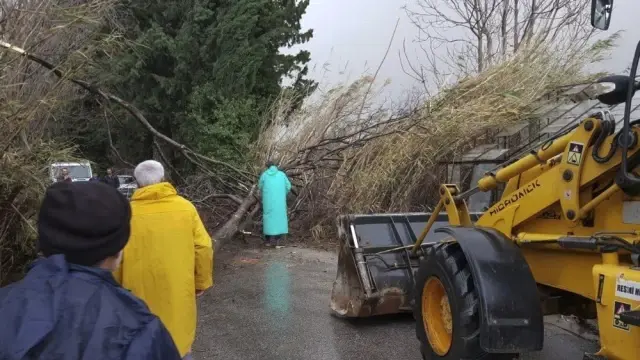 Antalya'da Fırtına Sonrası Temizlik Çalışmaları Devam Ediyor Antalya'da Fırtına Sonrası Temizlik Çalışmaları Devam Ediyor