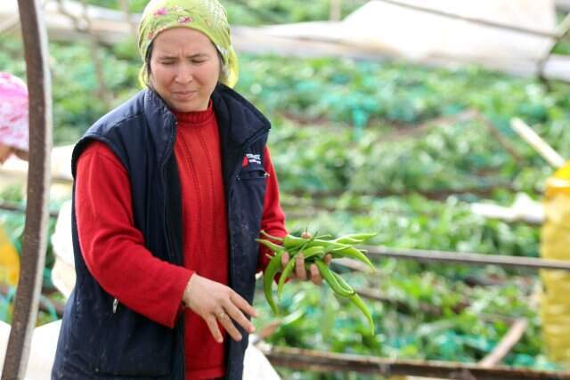 Hortum Felaketinin Yaşandığı Antalya'da Hayat Durdu! İşte Son Görüntüler