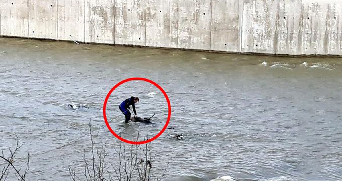 Ağaca Takılı Cesedi Gören Vatandaşlar, Hemen Polisi Aradı
