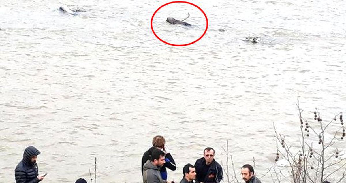 Çayda Cesedi Bulunan Kadının, Bir Süre Önce Boşandığı Ortaya Çıktı