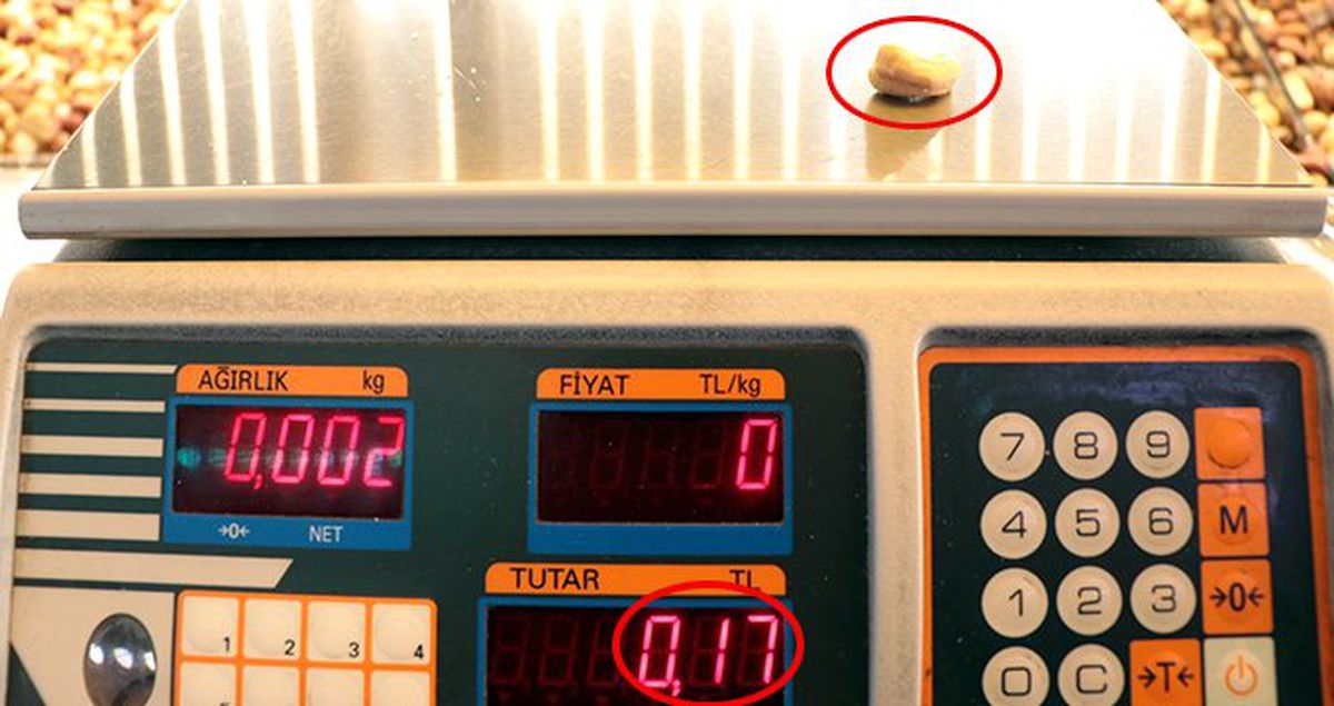 Kajunun Fiyatı El Yakıyor! Tanesi 17 Kuruşa Satılıyor
