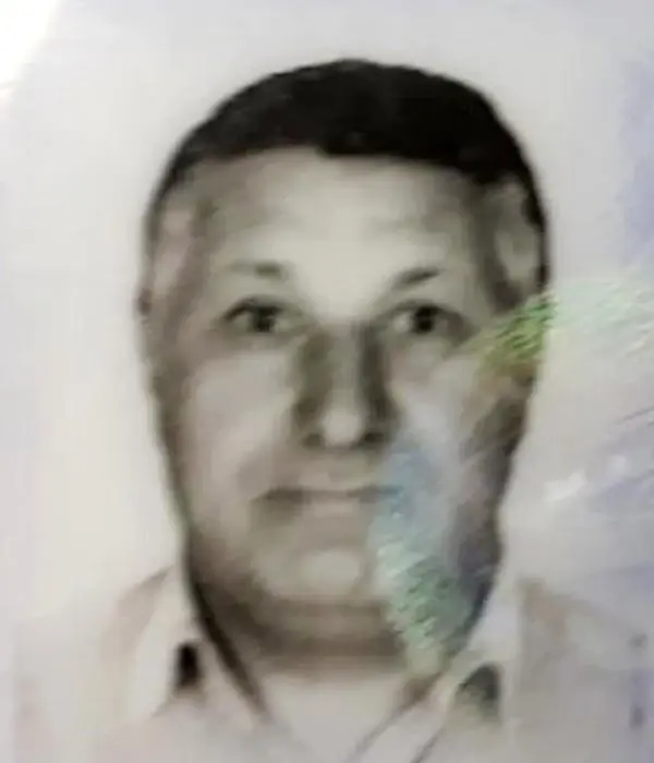Kesilen Ağacın Altında Kalan Orman İşçisi Öldü Kesilen Ağacın Altında Kalan Orman İşçisi Öldü