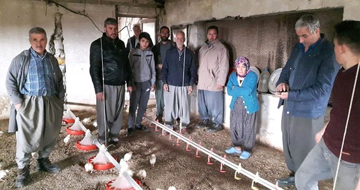 3 Milyon Civcivi Ölüme Terk Eden Firma İçin Adana Valiliği Harekete Geçti