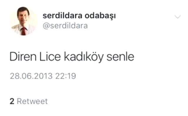 Şerdil Dara Odabaşı'nın Adaylığı, İYİ Parti Tabanını da Ayaklandırdı