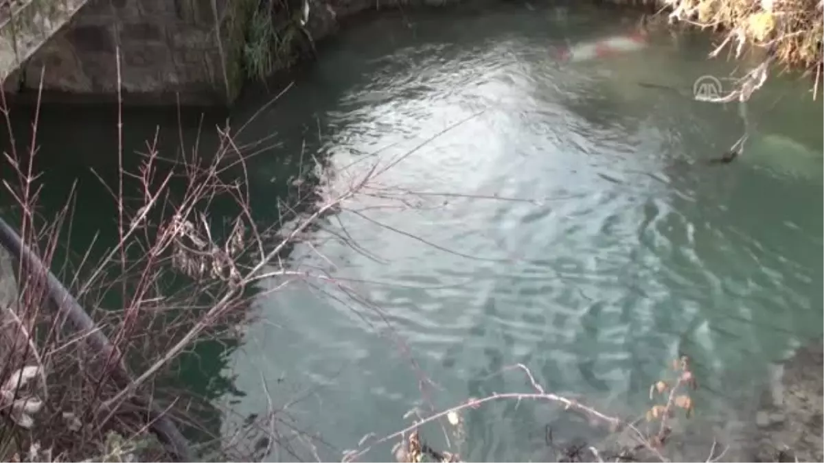 Hastaneye Giderken Kaza Yapan Sürücü Öldü - Bartın