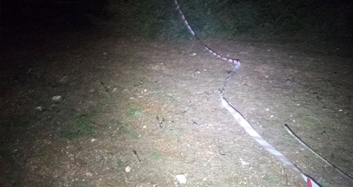 Ormanlık Alanda, El ve Ayakları Bağlanmış Kadın Cesedi Bulundu