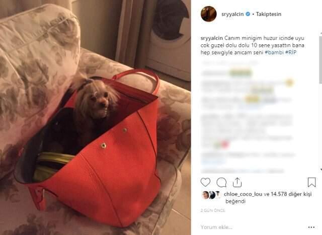 Süreyya Yalçın'ın 10 Yaşındaki Köpeği Hayatını Kaybetti