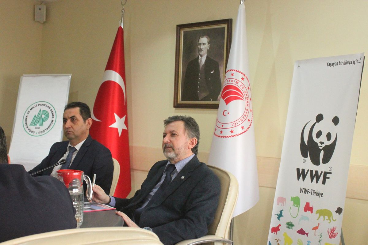 WWF-Türkiye'den Bir İlk Daha: Türkiye Üreyen Kuş Atlası